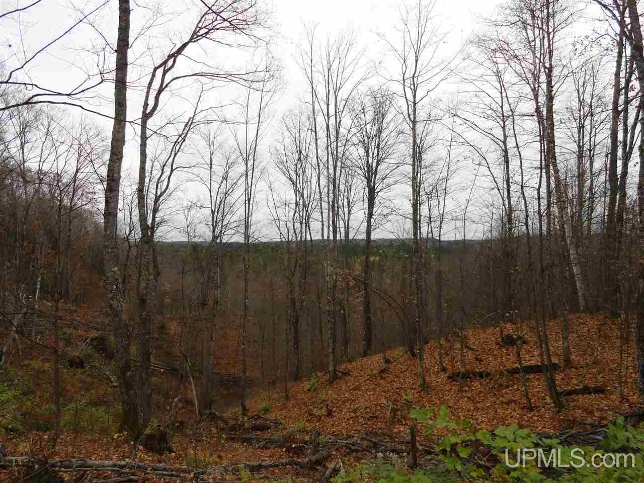 80-acres Co Rd Gga (aka Red Road Champion, MI 49849 - Photo 22 of 26
