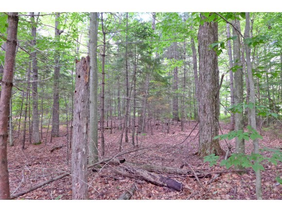 1950 Sherman Hollow Road Huntington, VT 05462 - Photo 11 of 31 Gallery Image 11