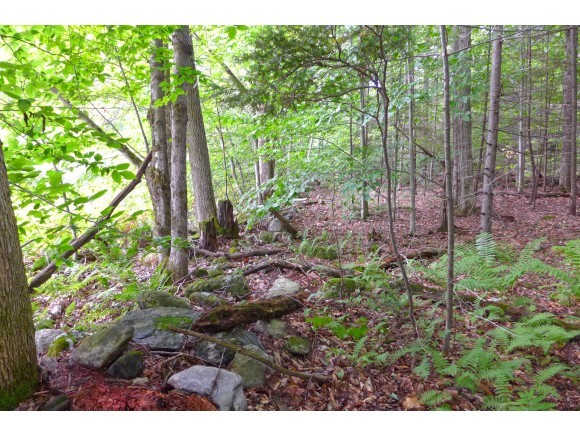 1950 Sherman Hollow Road Huntington, VT 05462 - Photo 20 of 31 Gallery Image 20