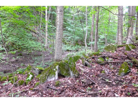 1950 Sherman Hollow Road Huntington, VT 05462 - Photo 22 of 31 Gallery Image 22