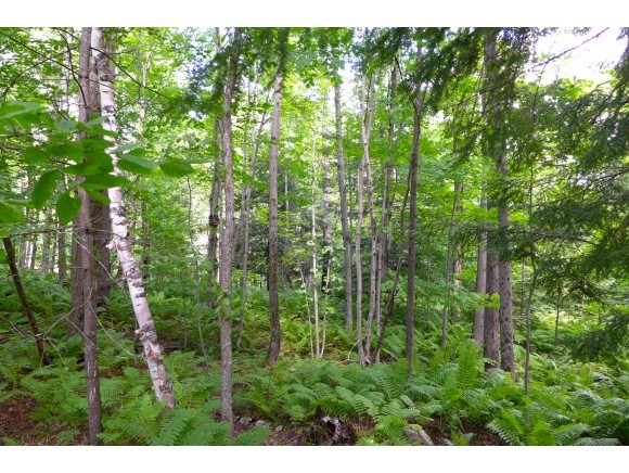 1950 Sherman Hollow Road Huntington, VT 05462 - Photo 23 of 31 Gallery Image 23