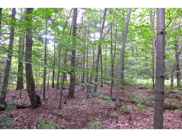 1950 Sherman Hollow Road Huntington, VT 05462 - Photo 25 of 31 Gallery Image 25