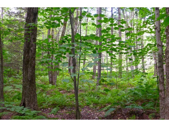 1950 Sherman Hollow Road Huntington, VT 05462 - Photo 26 of 31 Gallery Image 26