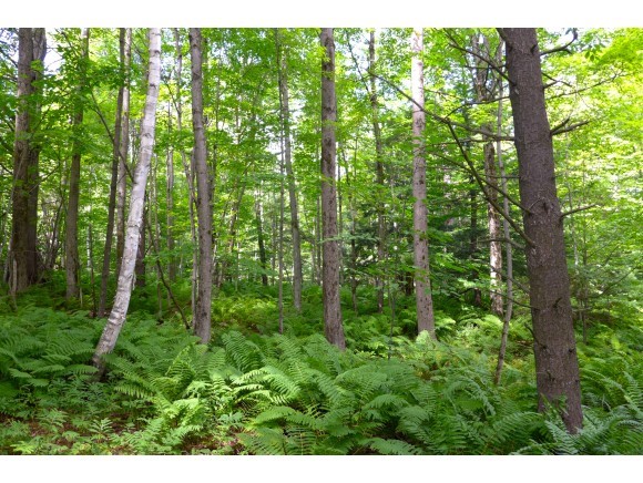 1950 Sherman Hollow Road Huntington, VT 05462 - Photo 29 of 31 Gallery Image 29