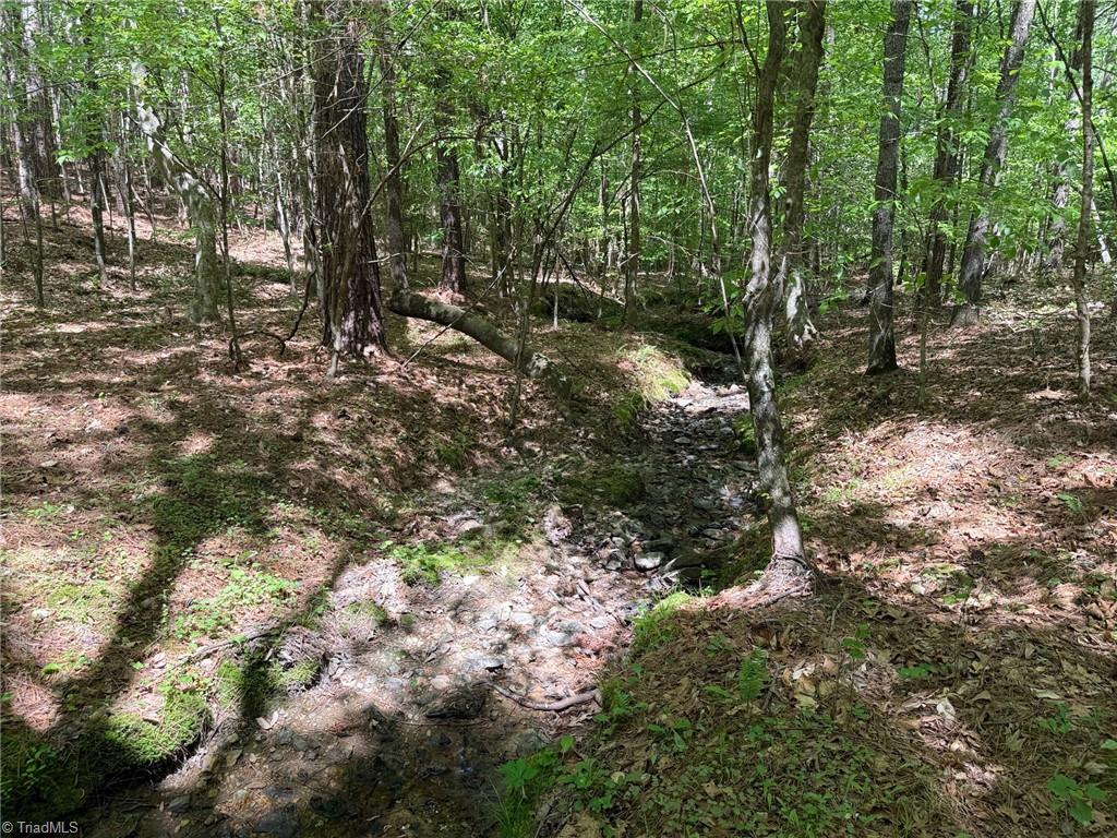 Lot 6 Thompson Road Seagrove, NC 27341 - Photo 2 of 9