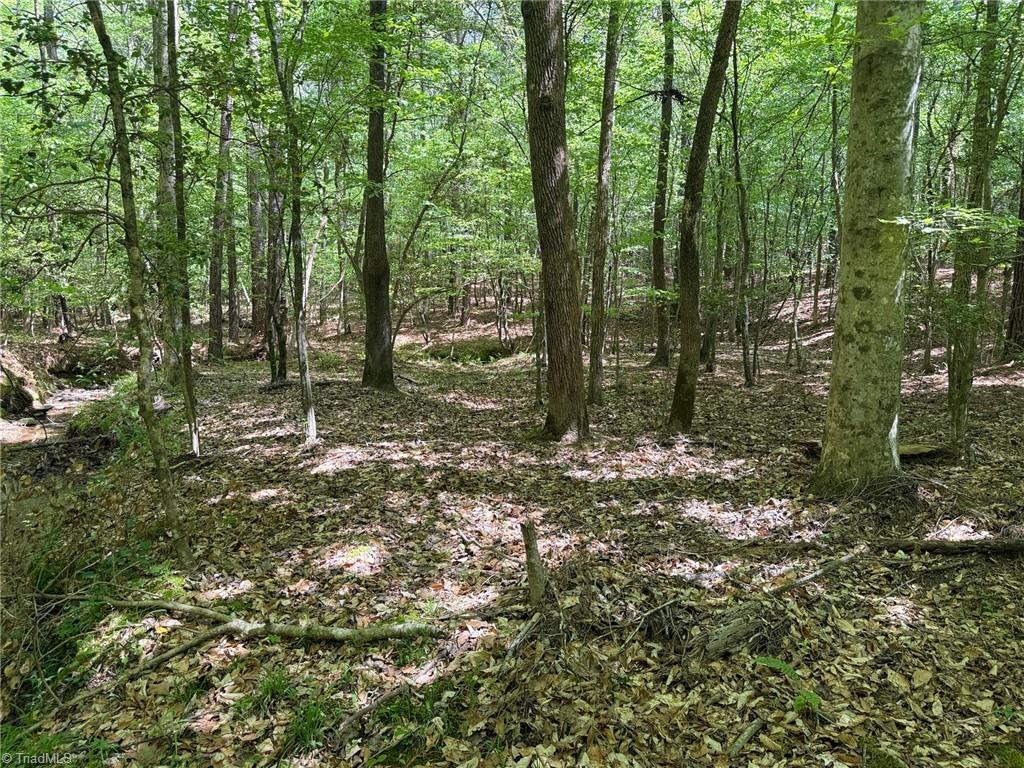Lot 6 Thompson Road Seagrove, NC 27341 - Photo 3 of 9