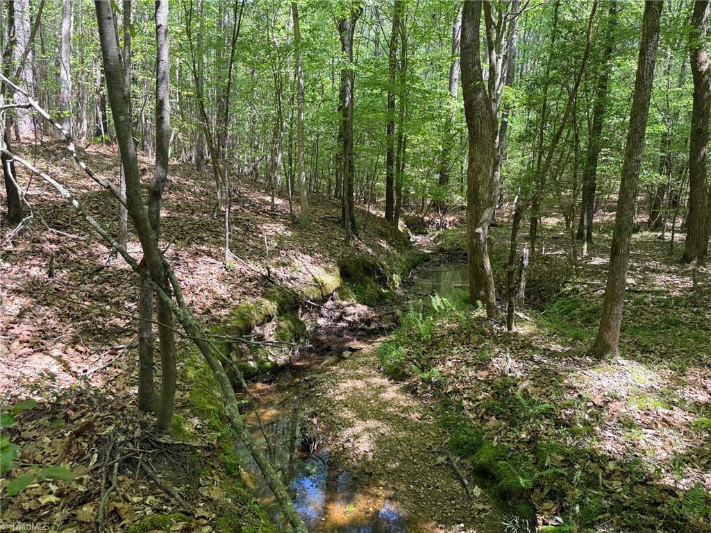 Lot 6 Thompson Road Seagrove, NC 27341 - Photo 4 of 9