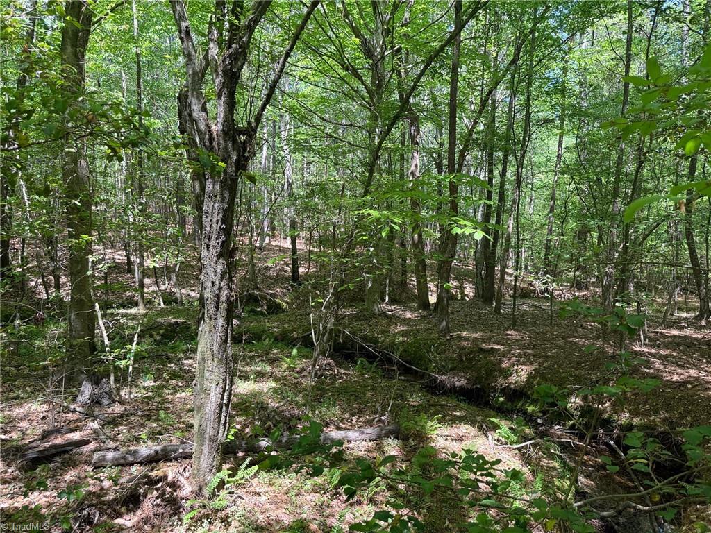 Lot 6 Thompson Road Seagrove, NC 27341 - Photo 5 of 9