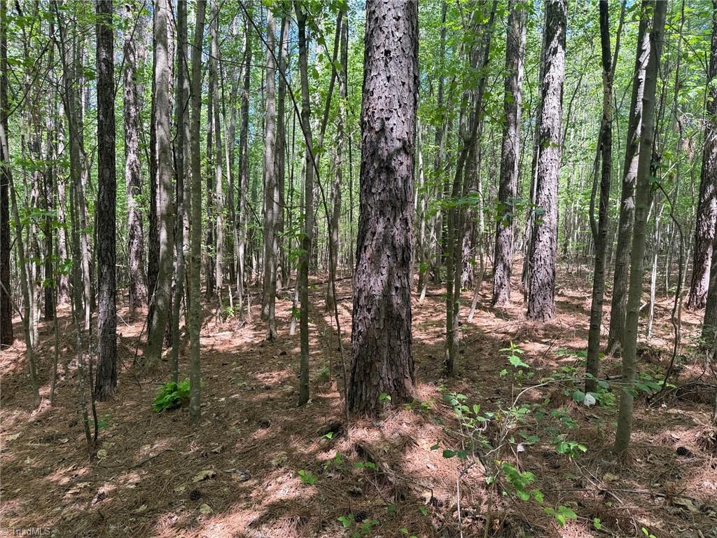Lot 6 Thompson Road Seagrove, NC 27341 - Photo 7 of 9