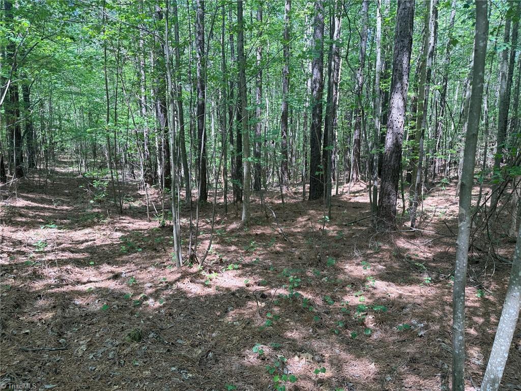 Lot 6 Thompson Road Seagrove, NC 27341 - Photo 8 of 9