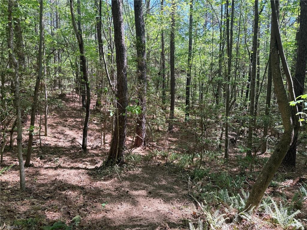 Lot 6 Thompson Road Seagrove, NC 27341 - Photo 9 of 9