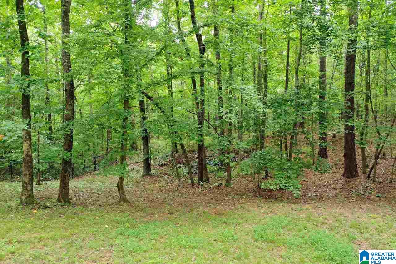 212 Cahaba Lake Circle Helena, AL 35080 - Photo 41 of 47