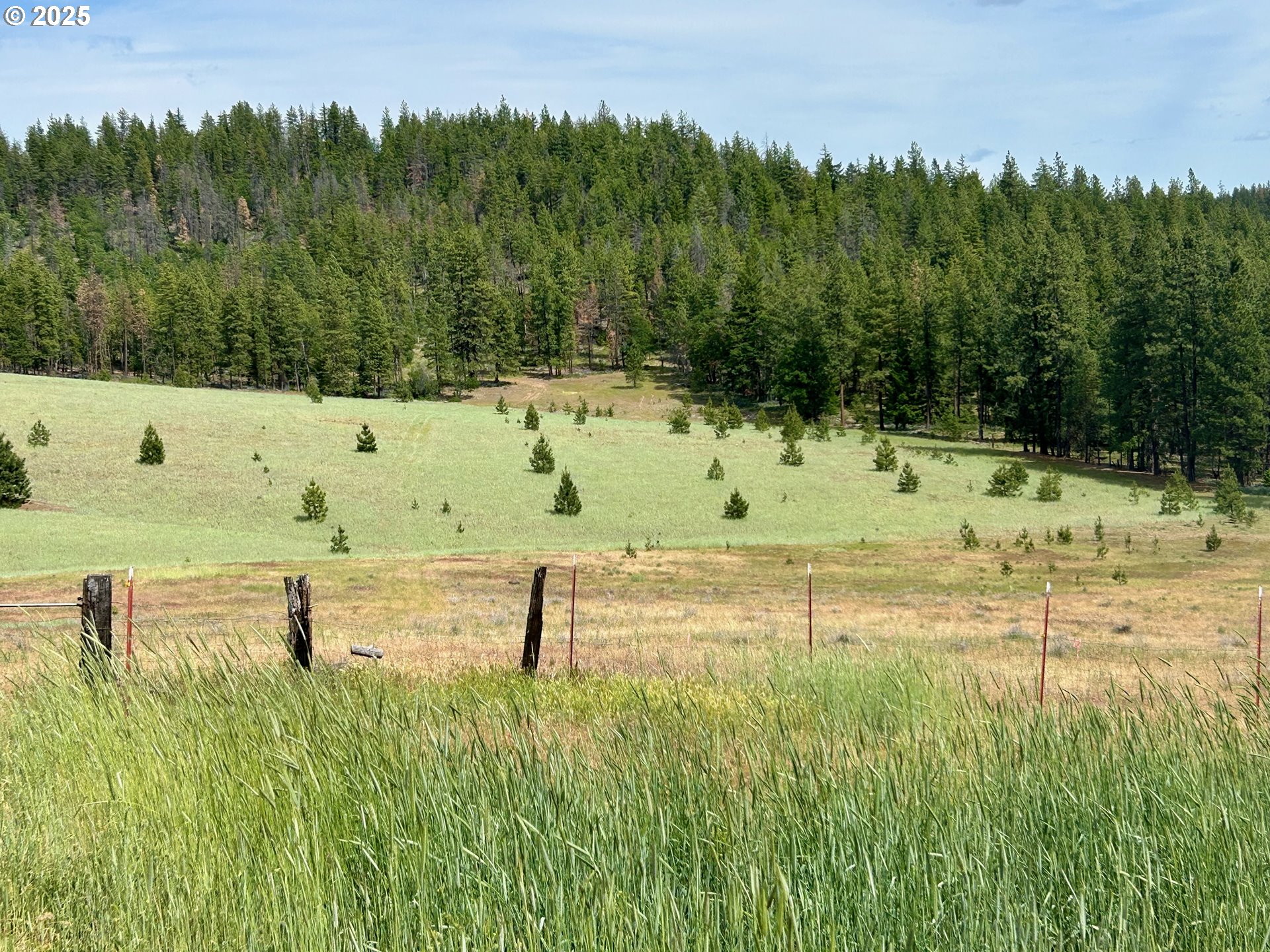 498 Turkey Ranch Road Goldendale, WA 98620 - Photo 14 of 18 Gallery Image 14