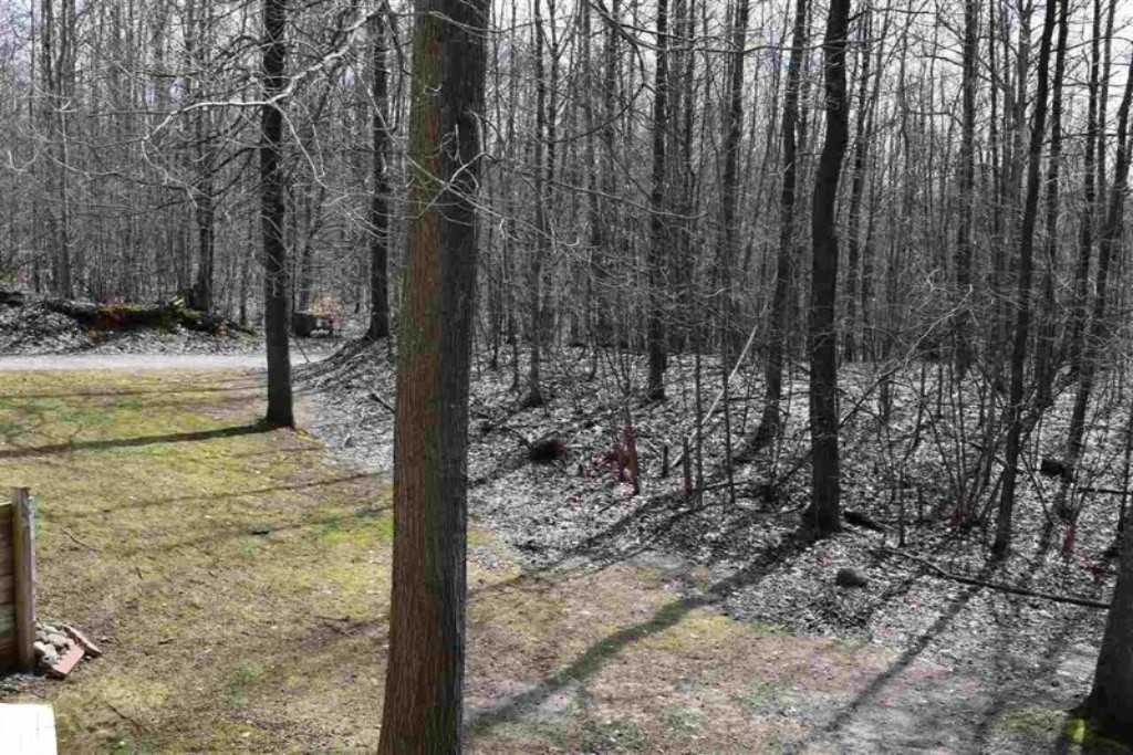 4545 Schoedel Road Manistee, MI 49660 - Photo 23 of 24 23