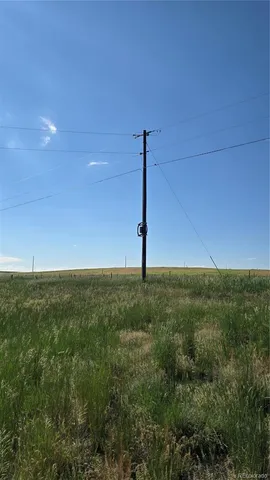 a view of a big yard with lots of green space and trees