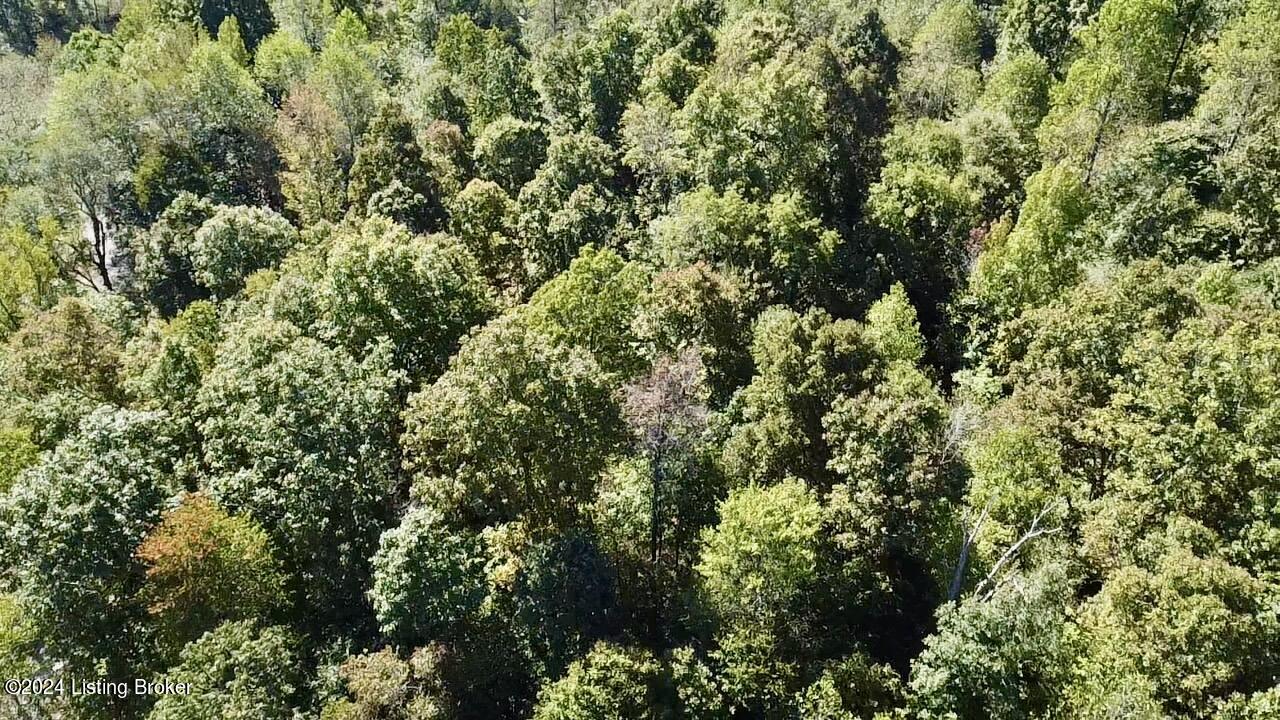 2346 Sulphur Lick Road New Hope, KY 40052 - Photo 32 of 35 2024-10-03-12-29-00-487