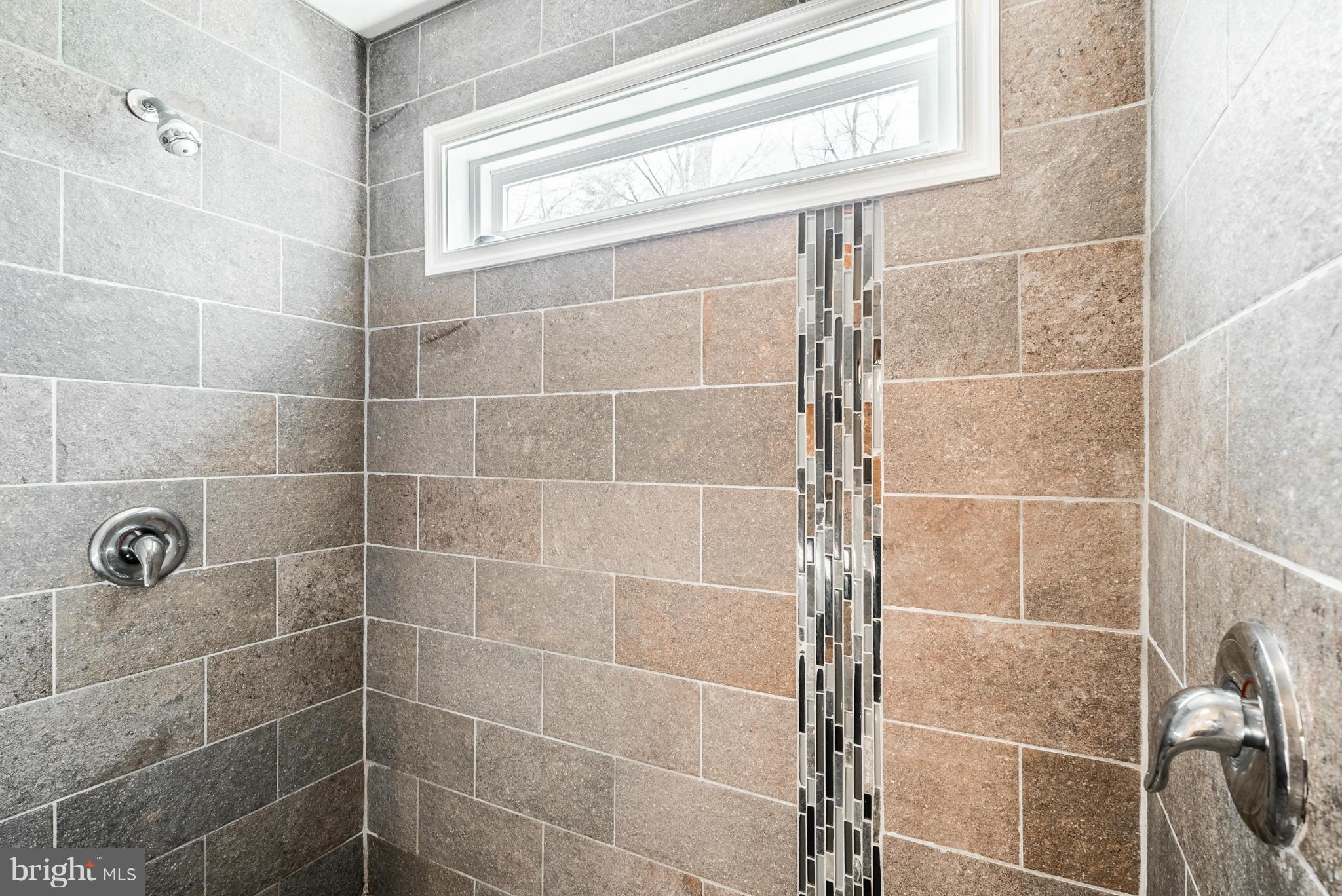 227 Markham Farm Road Front Royal, VA 22630 - Photo 11 of 25 Bath (Master) double head shower