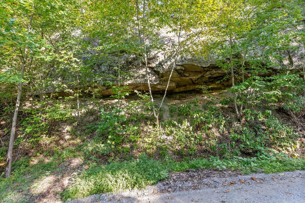 0 Yankee Road Trenton, GA 30752 - Photo 45 of 47 Gallery Image 45