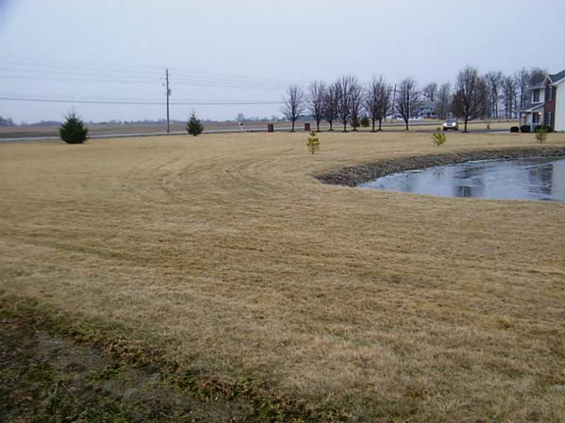 20631 Mule Barn Road Sheridan, IN 46069 - Photo 4 of 23