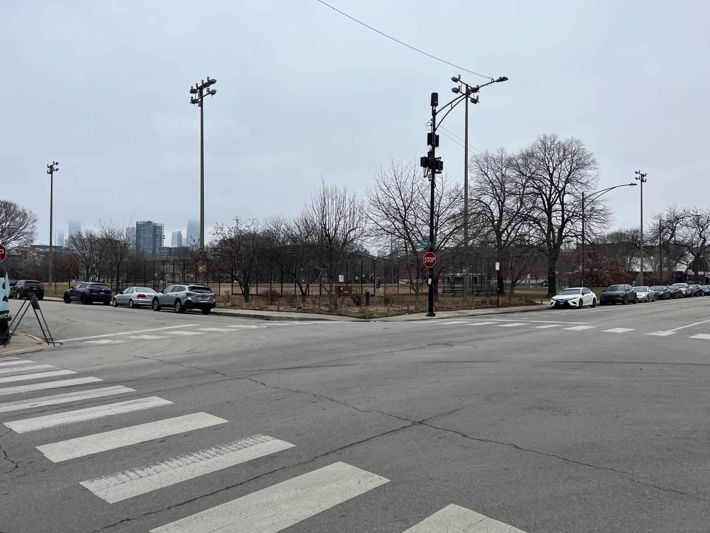 1400 West Chestnut Street, Unit 1 Chicago, IL 60642 - Photo 24 of 24 a view of a city with palm trees