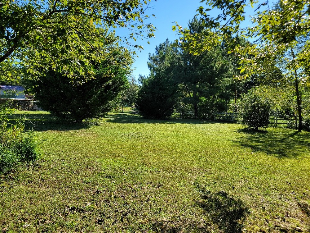 2383 Fall River Road Goodspring, TN 38460 - Photo 8 of 25