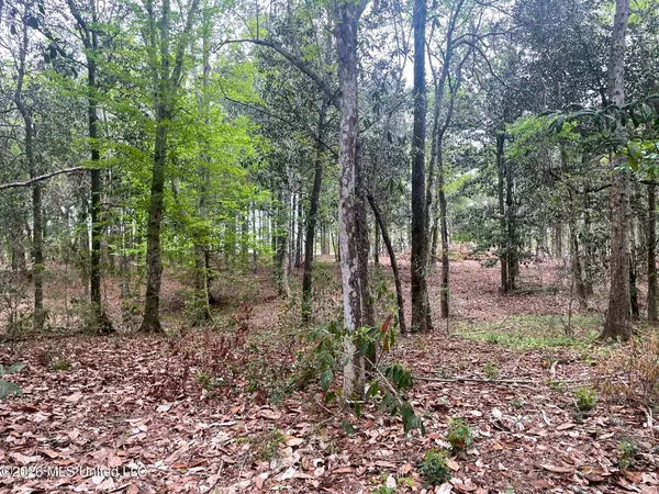 $167,000 | Donniebrook Lane, Moss Point, MS 39562