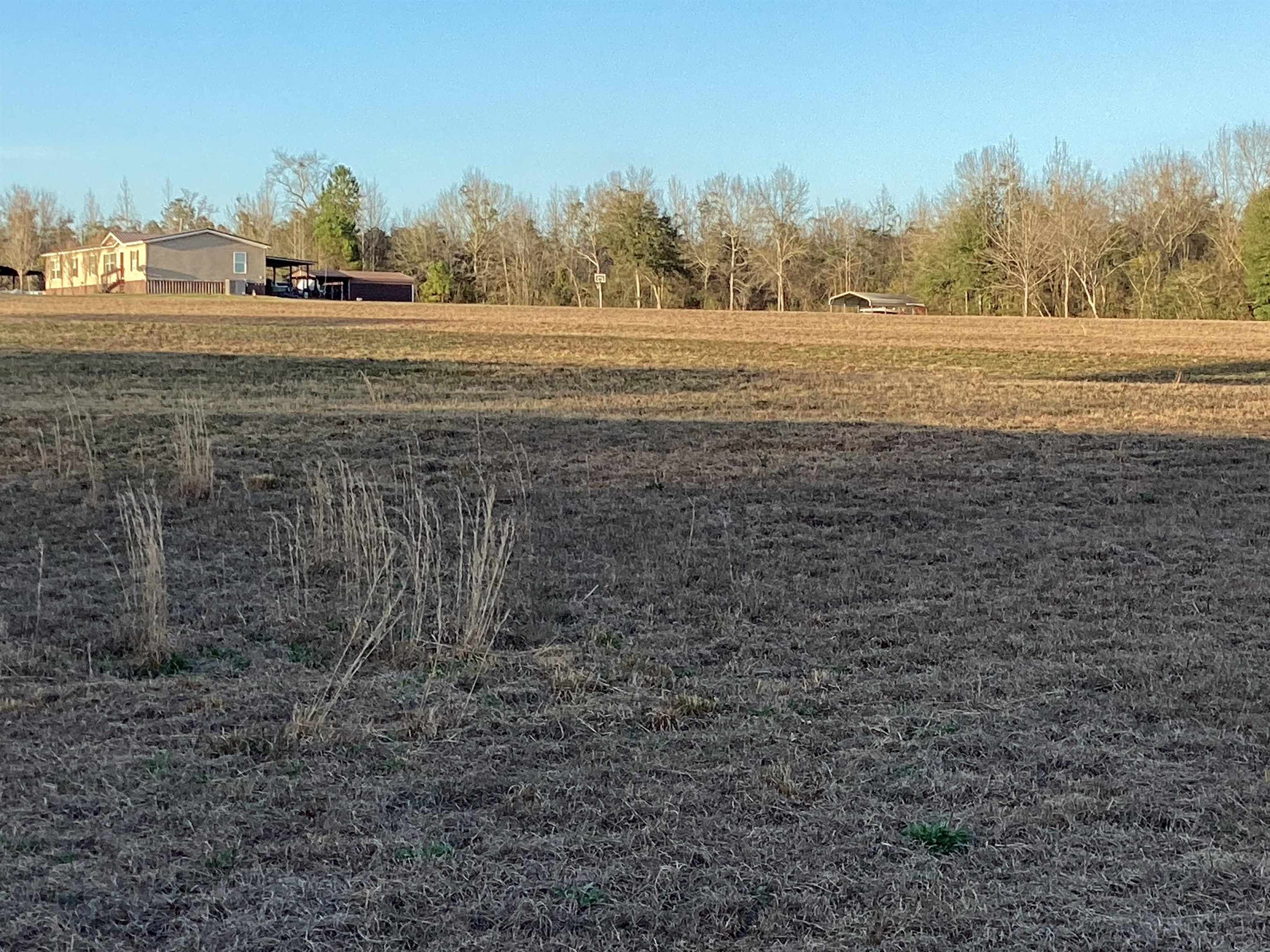 16872 Old School Road Opp, AL 36467 - Photo 21 of 43 Gallery Image 21
