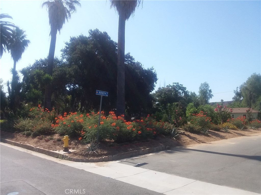 a view of a street with flower plants and palm tree