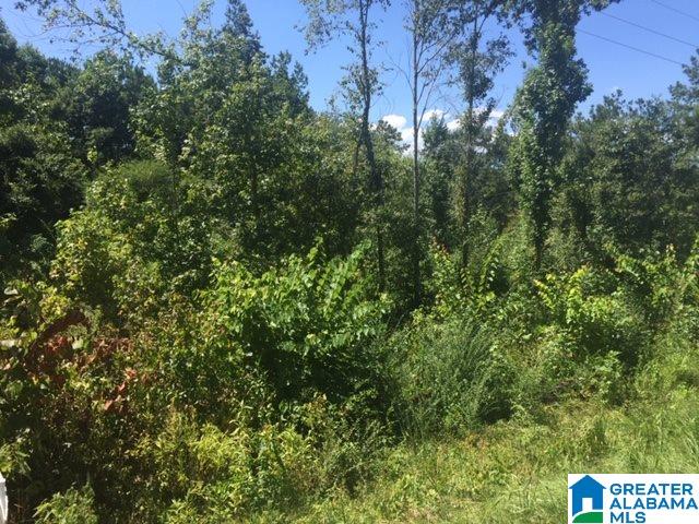 0 County Road 51, Unit 1 Clanton, AL 35046 - Photo 3 of 3