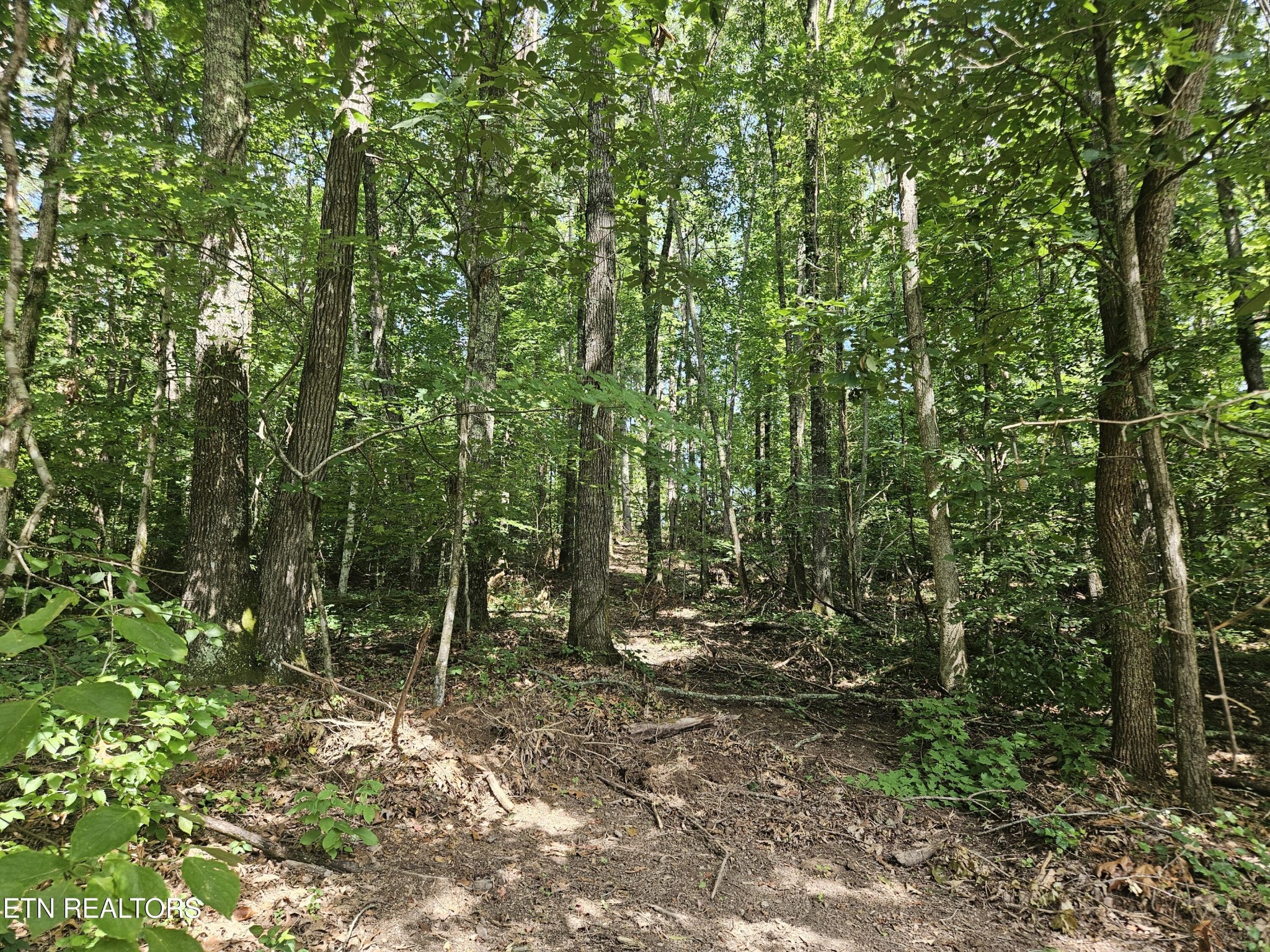 0 Hickory Valley Road Maynardville, TN 37807 - Photo 10 of 29 Gallery Image 10