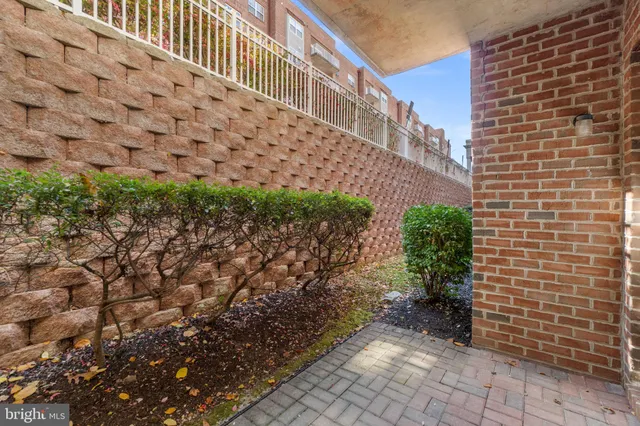 a view of a pathway both side of building