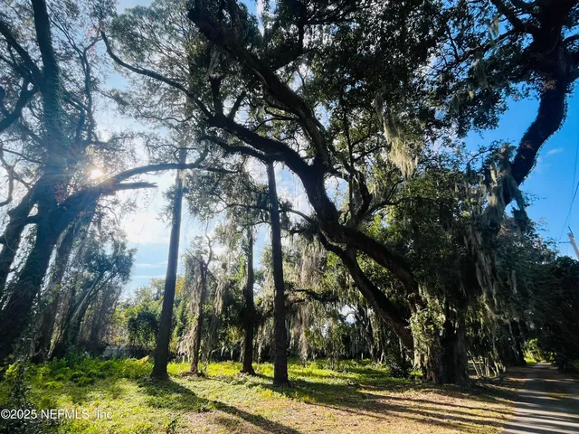a view of a yard in the middle of a yard