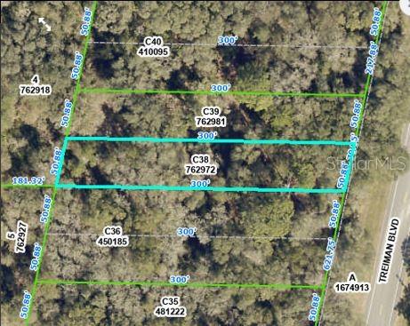 Treiman Boulevard Webster, FL 33597 - Photo 3 of 6