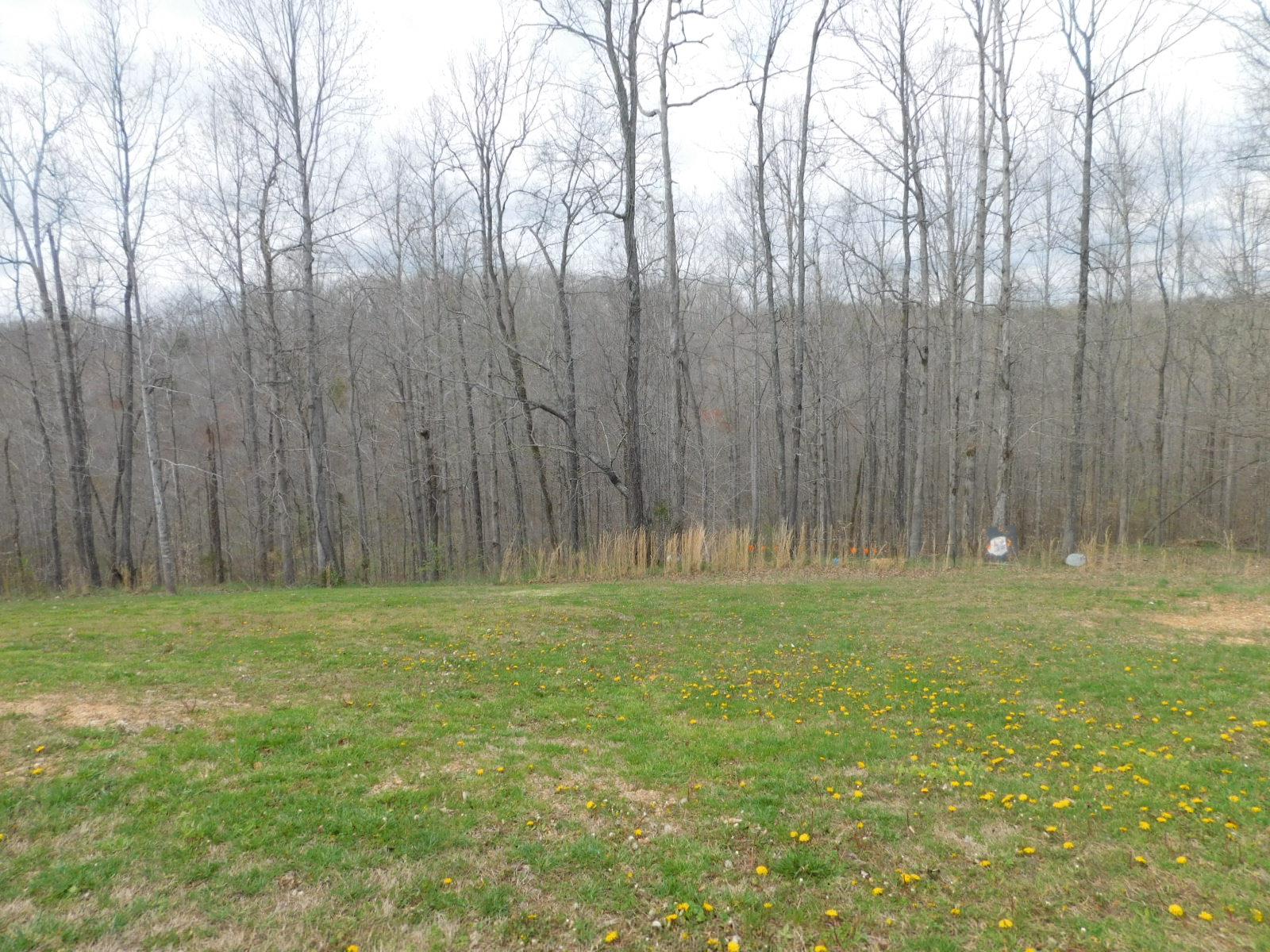 218 Briary Road Hohenwald, TN 38462 - Photo 22 of 26 Gallery Image 22