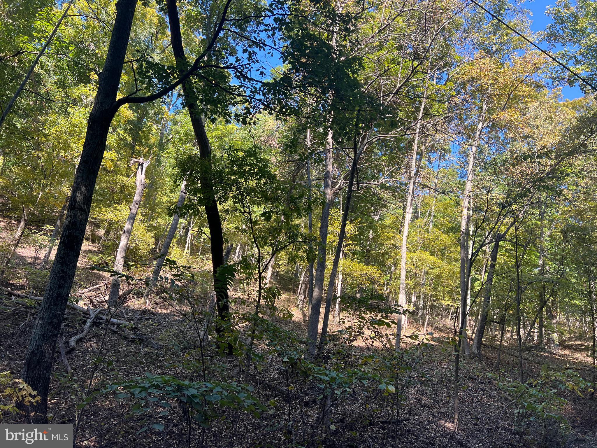 1604 High Knob Road Old Fields, WV 26845 - Photo 88 of 113