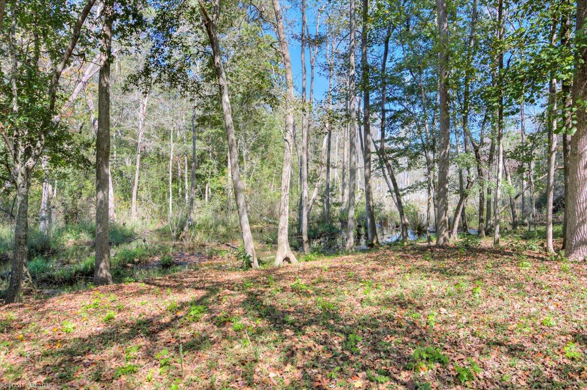 1488 Hatchaway Bridge Road Aiken, SC 29801 - Photo 44 of 65