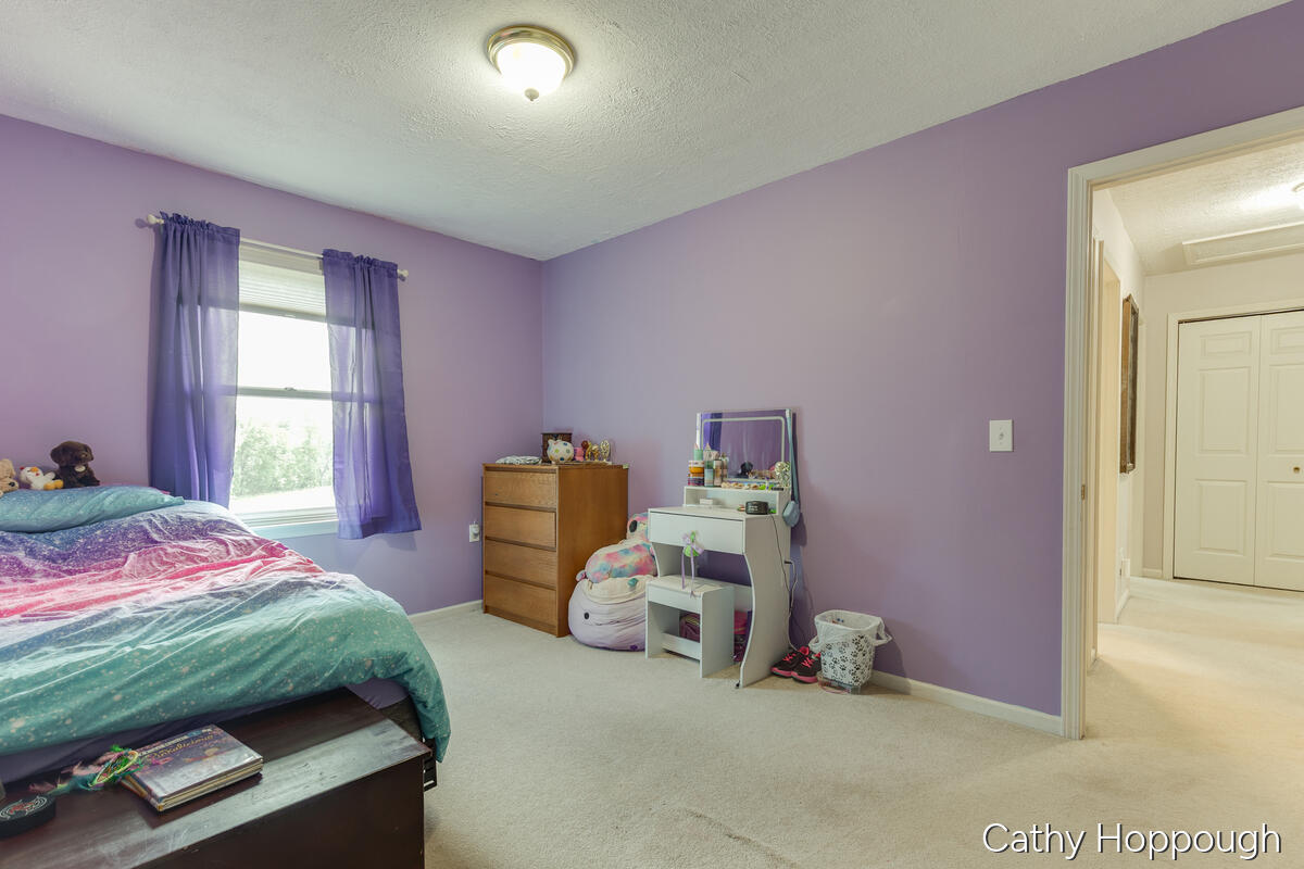 8152 Murphy Road Lyons, MI 48851 - Photo 25 of 70 8152_Murphy_CATHY-60
