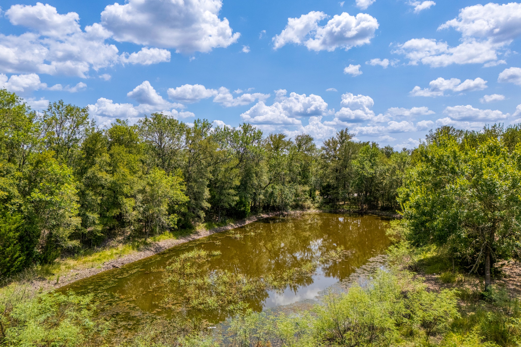 448 Jenkins Road Cedar Creek, TX 78612 - Photo 14 of 14 Gallery Image 14