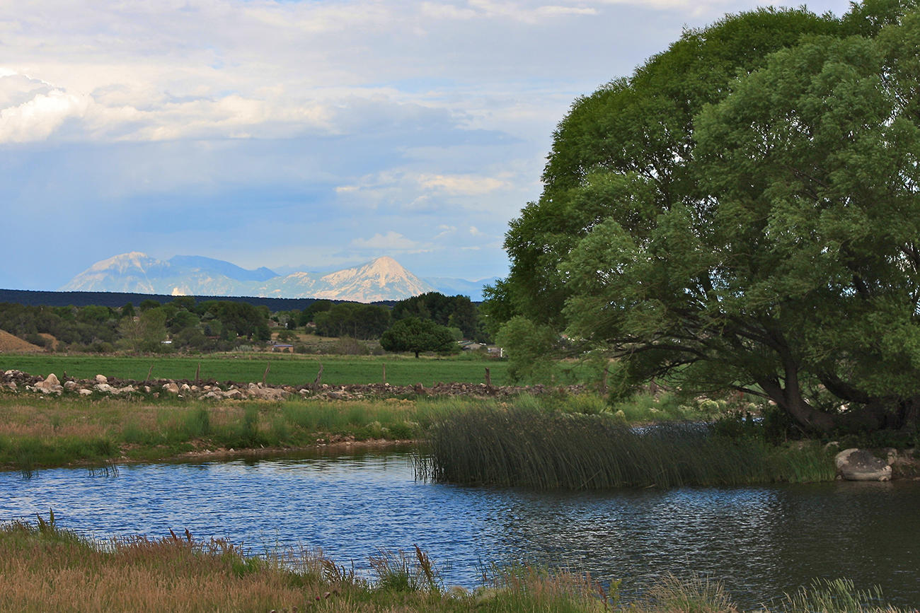 17763 Ward Creek Road Cedaredge, CO 81413 - Photo 6 of 12 Shadow Mesa Ranch (8)