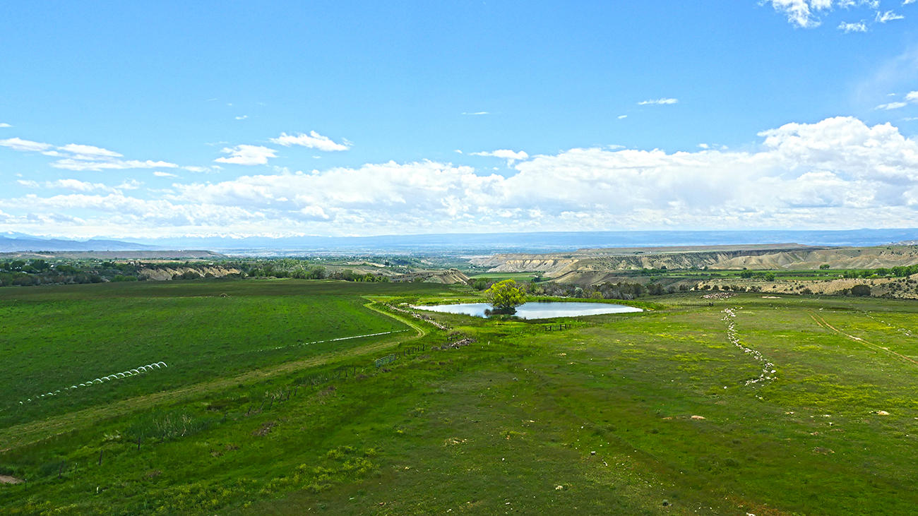 17763 Ward Creek Road Cedaredge, CO 81413 - Photo 7 of 12 Shadow Mesa Ranch (9)