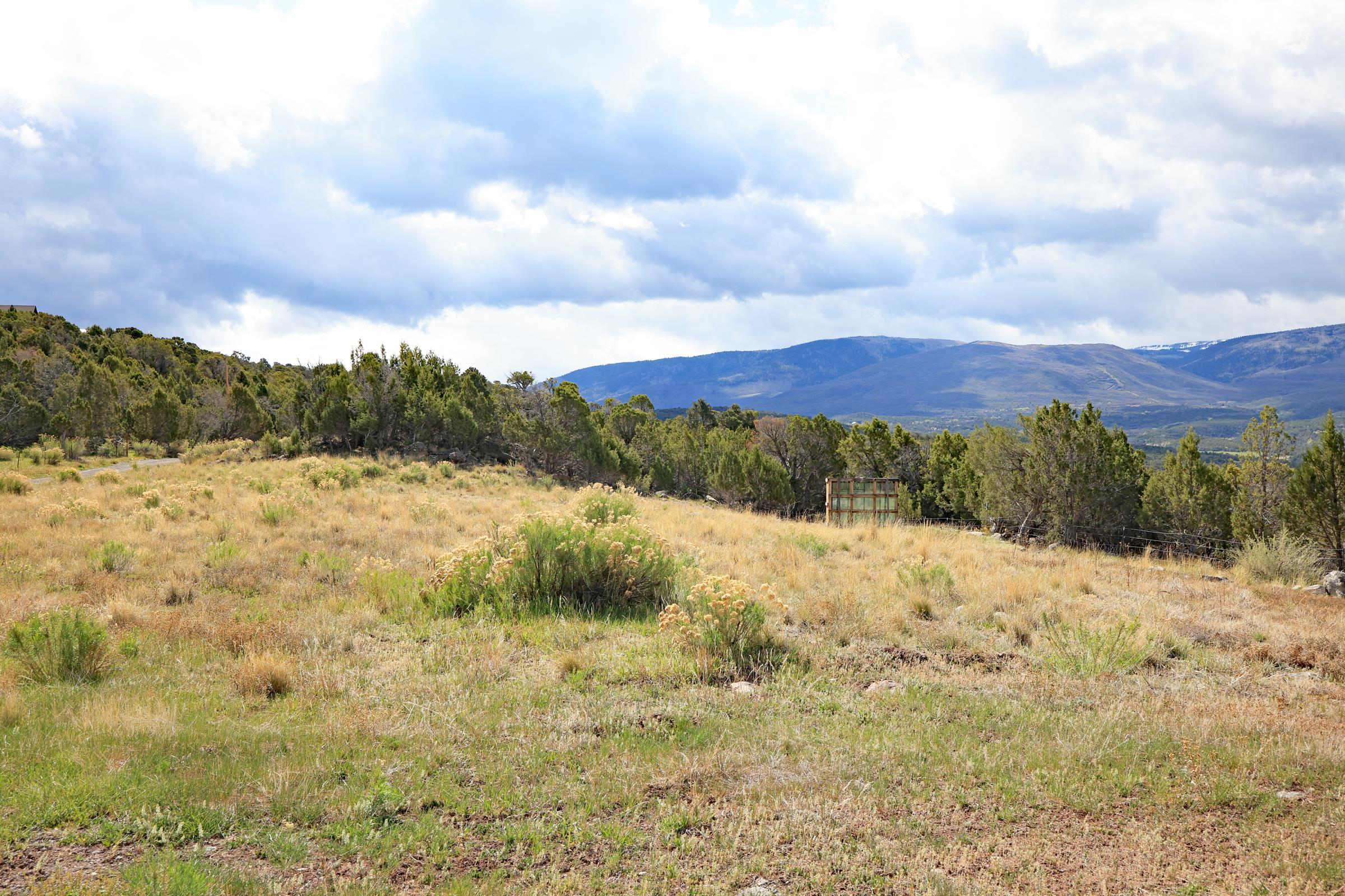 12705 55 Road Collbran, CO 81624 - Photo 9 of 31 a view of lake view and mountain