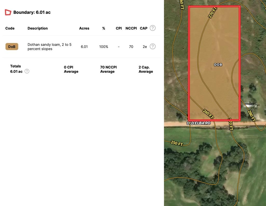 6-ac Old Elba Road Coffee Springs, AL 36318 - Photo 15 of 15