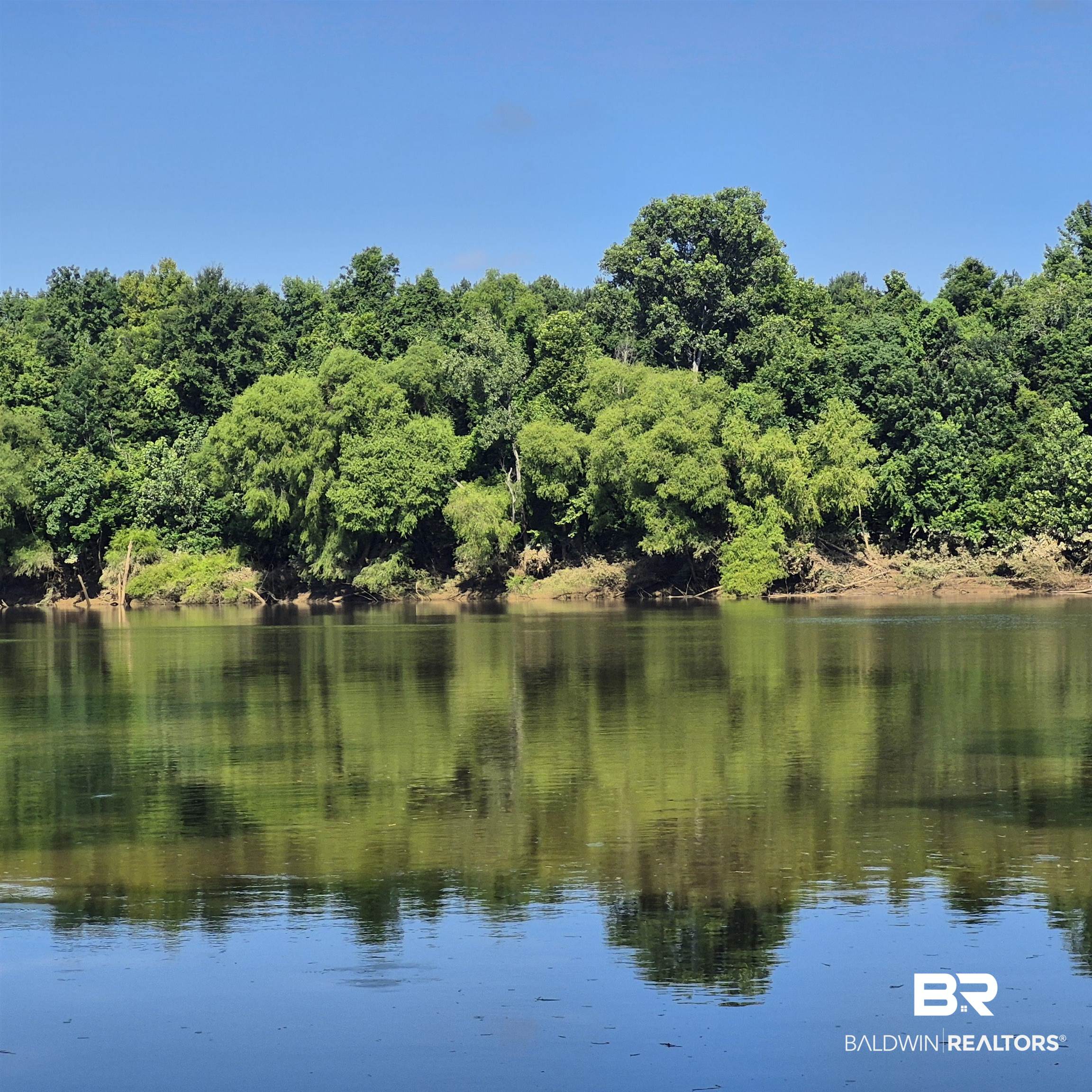 0 Eureka Landing Road Uriah, AL 36480 - Photo 25 of 27 Waterfront property featuring extensive tree-lined banks, a calm body of water, and natural vegetation