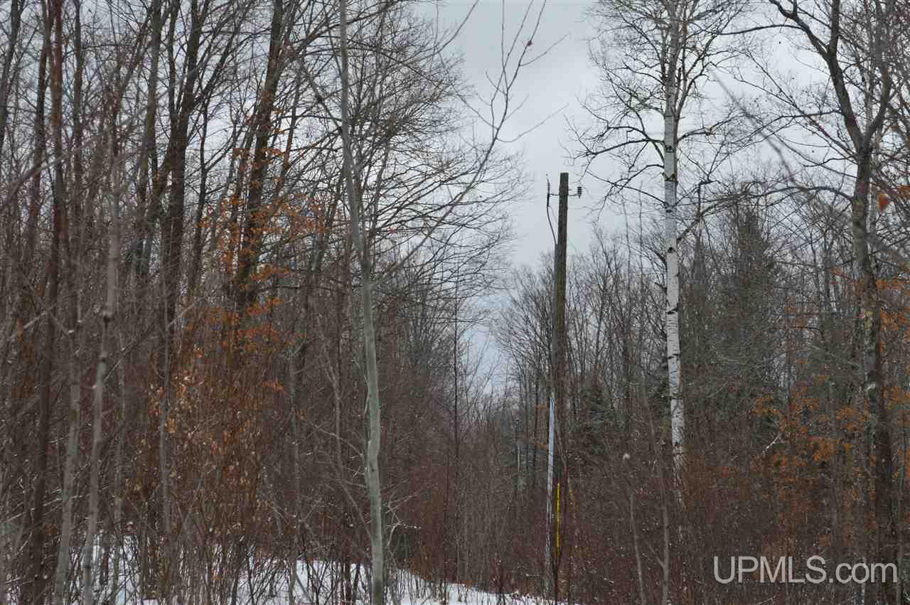 Tbd Herman Road Lanse, MI 49946 - Photo 35 of 50 Gallery Image 35