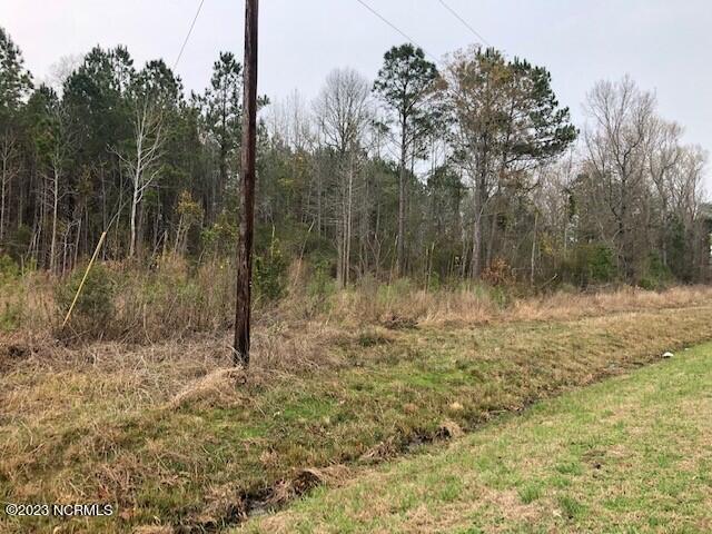 1732 South Kelly Road Bath, NC 27808 - Photo 2 of 12 CutlerH10