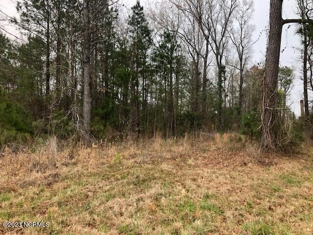 1732 South Kelly Road Bath, NC 27808 - Photo 3 of 12 CutlerH9