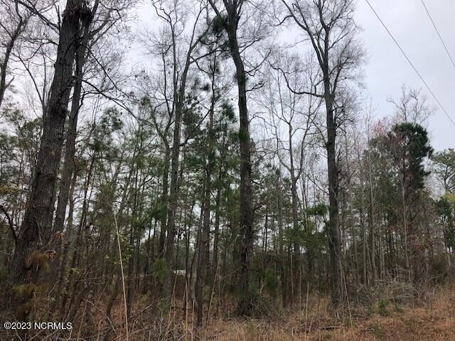 1732 South Kelly Road Bath, NC 27808 - Photo 5 of 12 CutlerH7