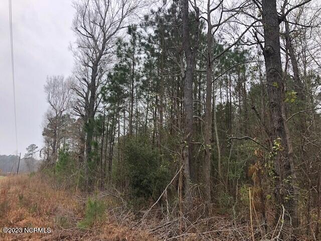 1732 South Kelly Road Bath, NC 27808 - Photo 6 of 12 CutlerH6