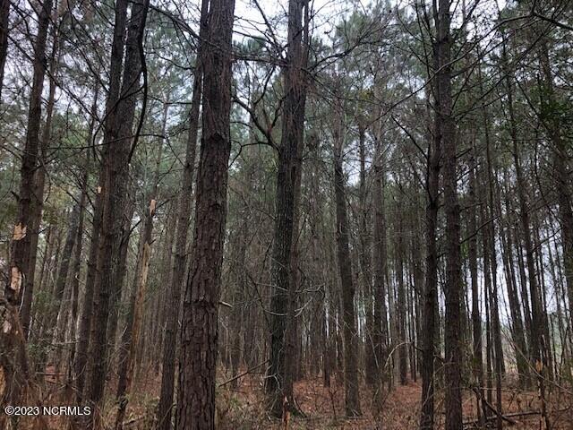 1732 South Kelly Road Bath, NC 27808 - Photo 7 of 12 CutlerH5