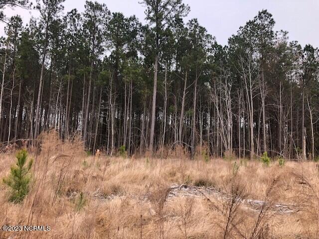 1732 South Kelly Road Bath, NC 27808 - Photo 10 of 12 CutlerH1